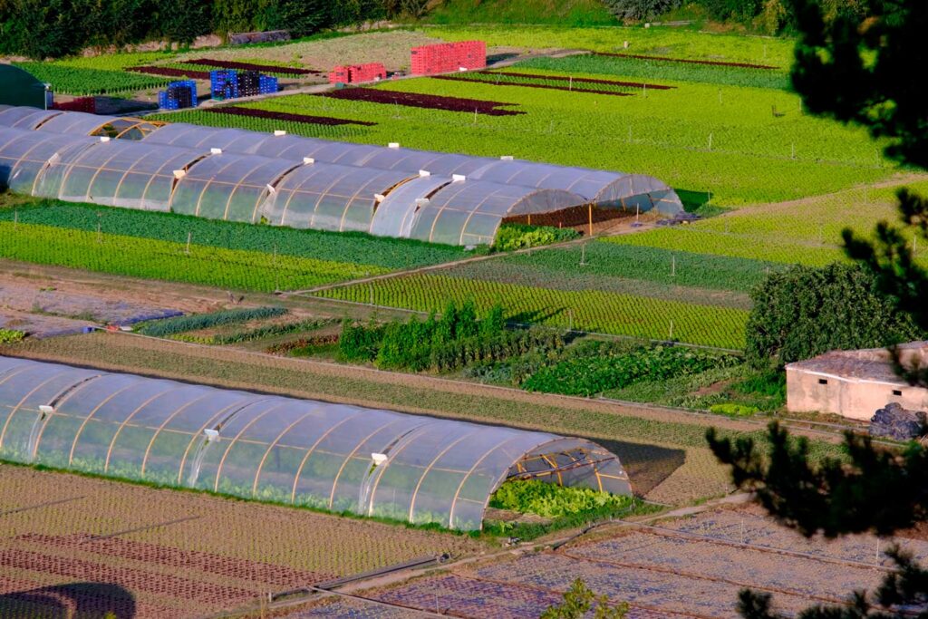 plásticos agrícolas no envases
