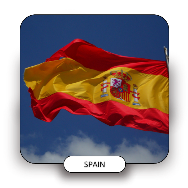 AUTORIZED REPRESENTATIVE SPAIN
